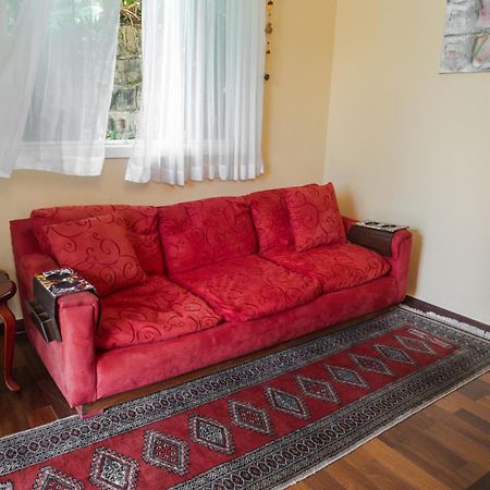 Chale Rosa Do Vale Βίλα Petrópolis Εξωτερικό φωτογραφία
