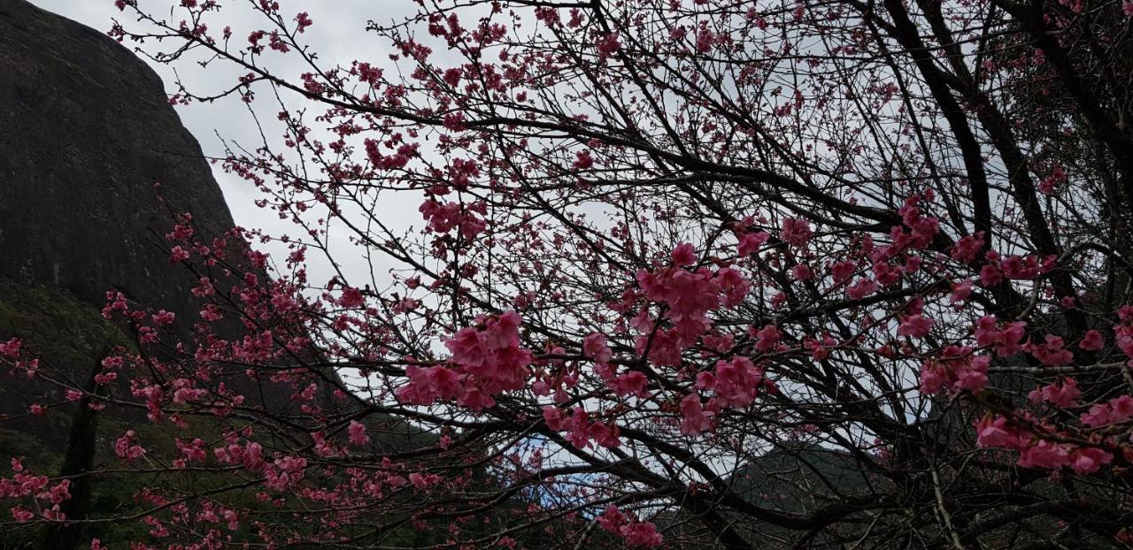 Chale Rosa Do Vale Βίλα Petrópolis Εξωτερικό φωτογραφία