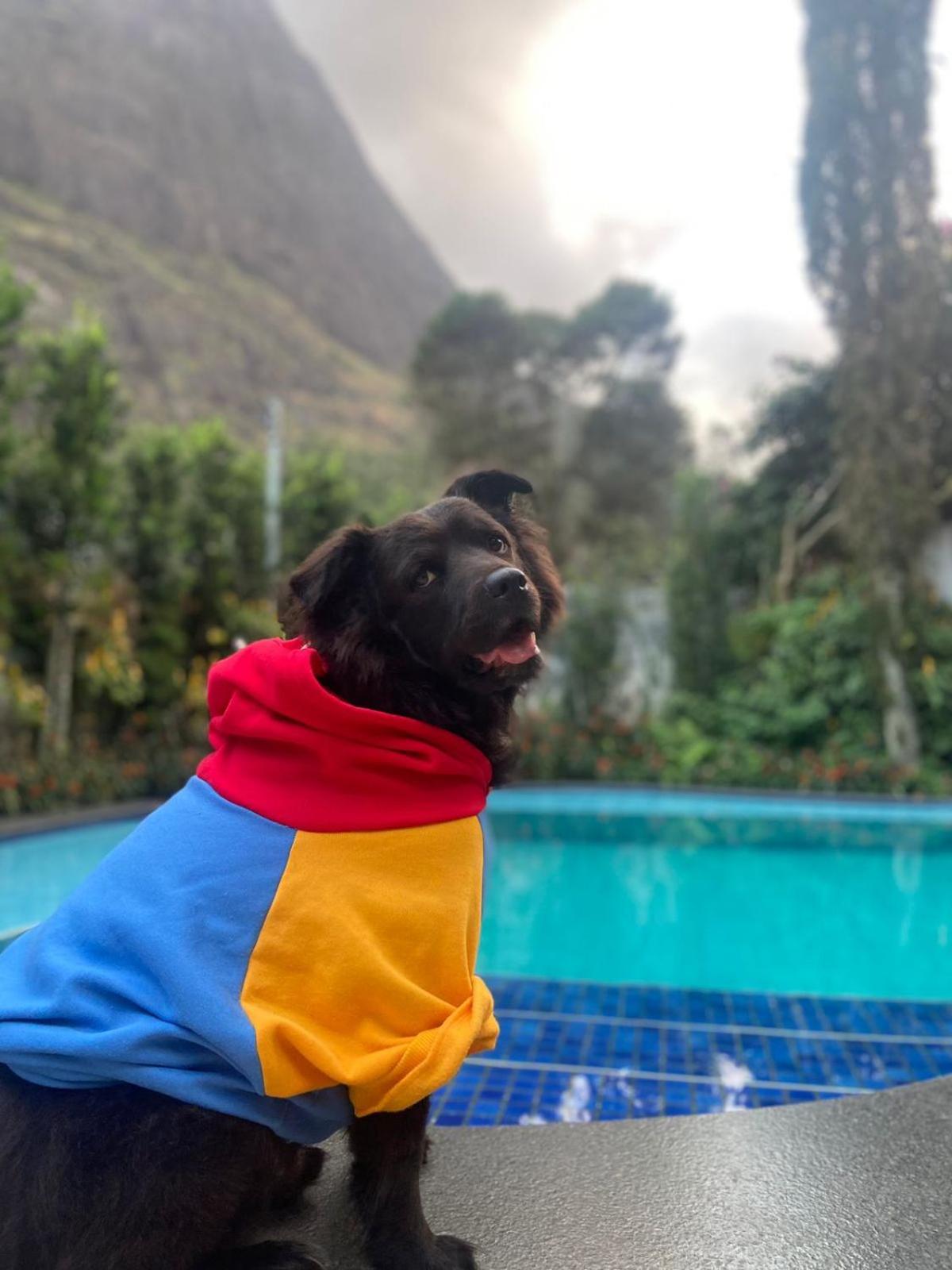 Chale Rosa Do Vale Βίλα Petrópolis Εξωτερικό φωτογραφία