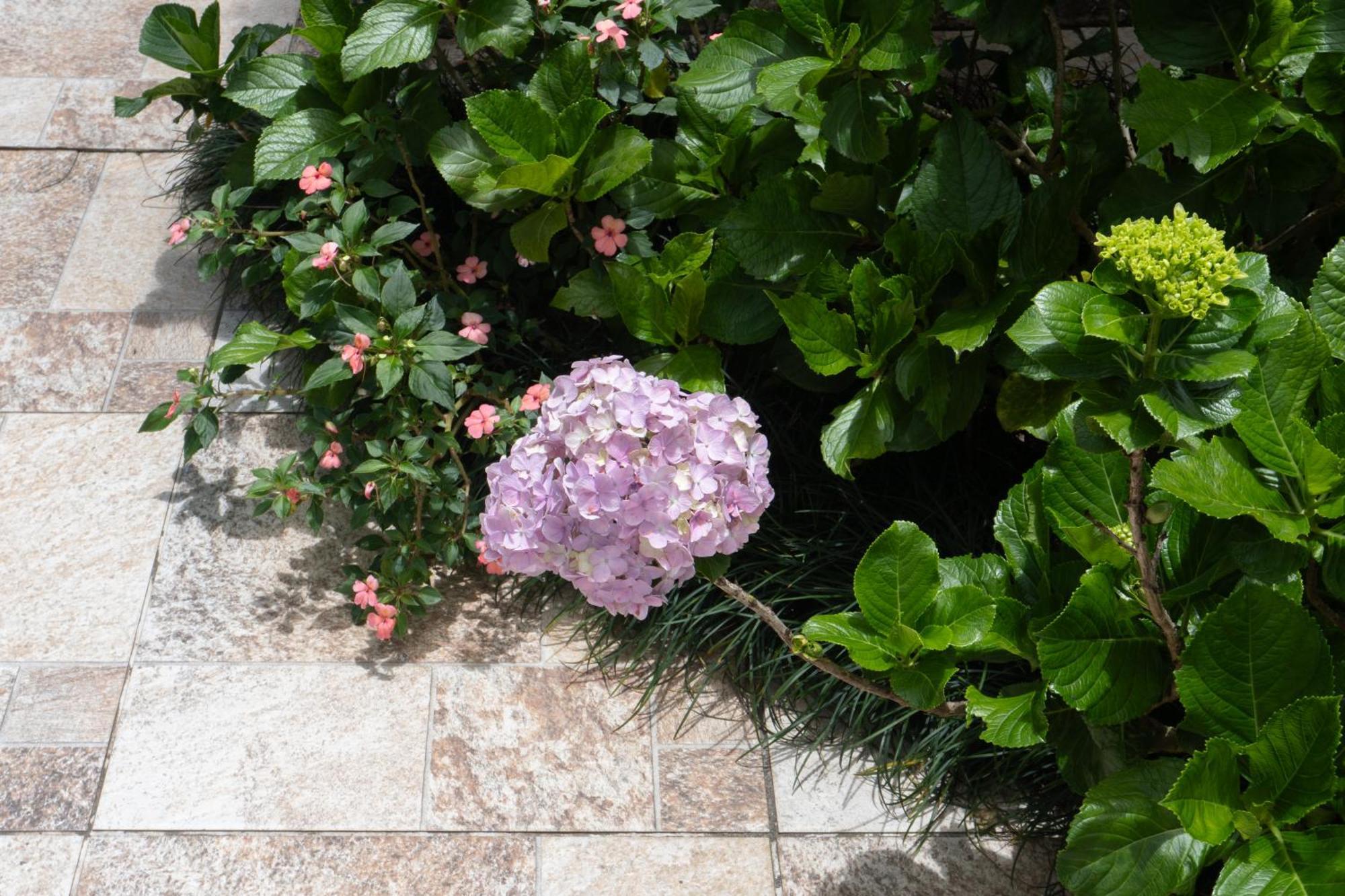 Chale Rosa Do Vale Βίλα Petrópolis Εξωτερικό φωτογραφία