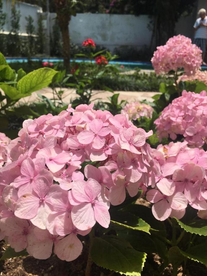 Chale Rosa Do Vale Βίλα Petrópolis Εξωτερικό φωτογραφία